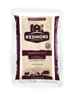 Redmond Natural Salt